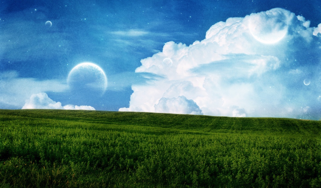 Поле и небо