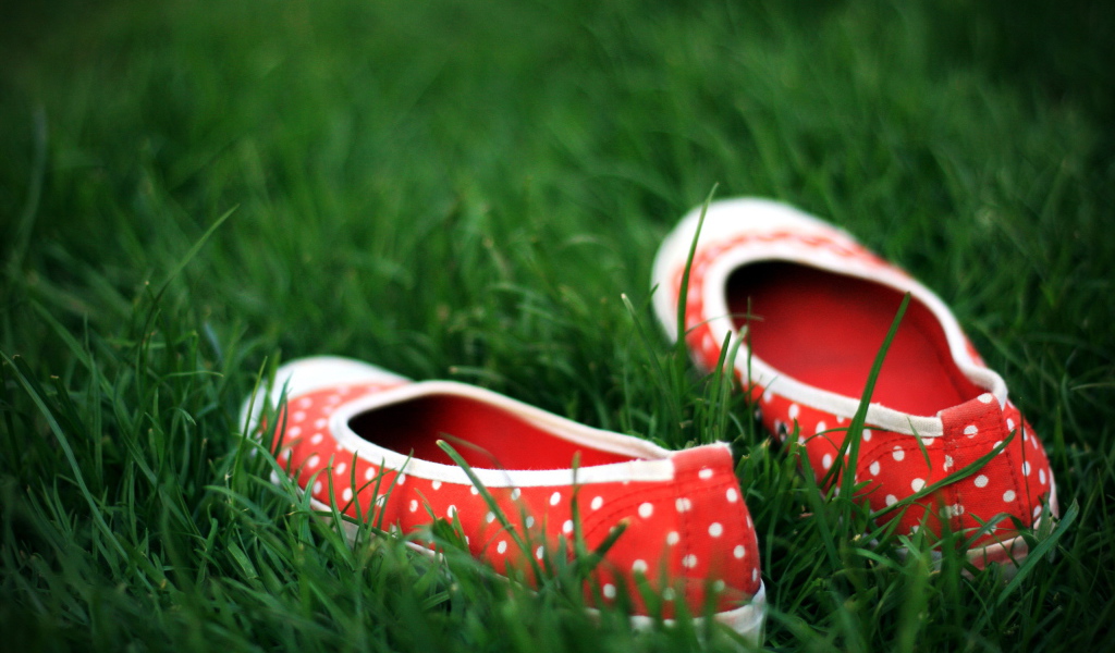 Тапочки в траве