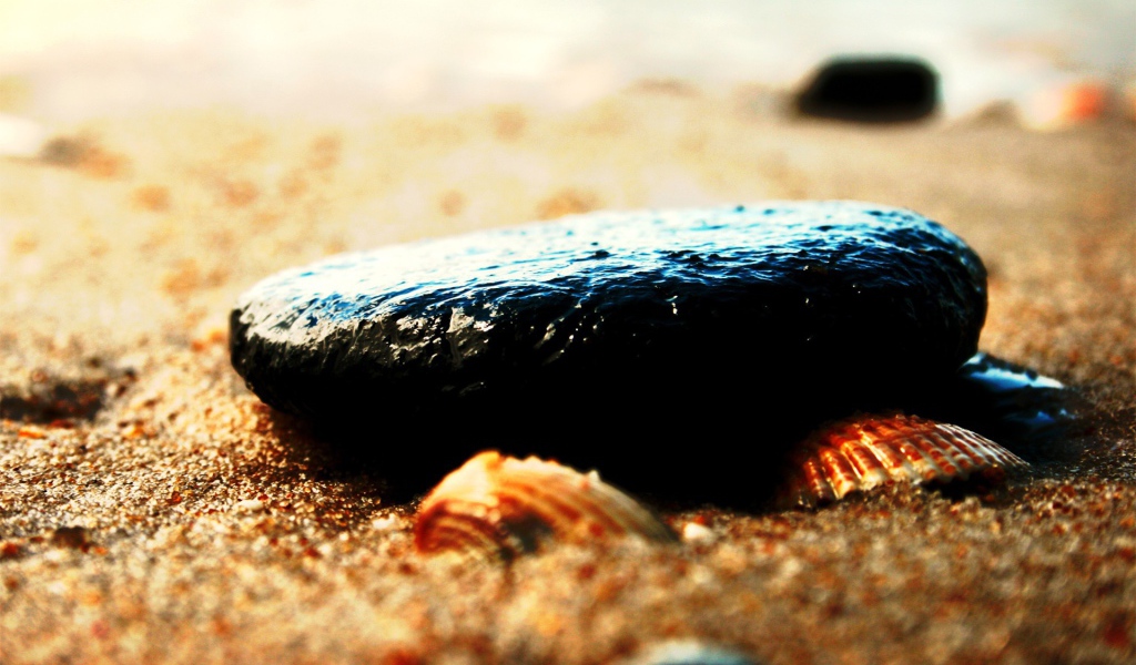 Камень и ракушки