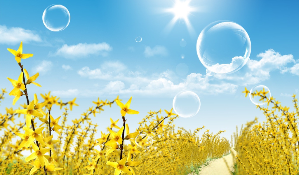 Сияние солнца