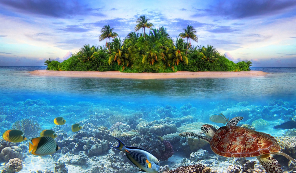 Подводный мир на острове
