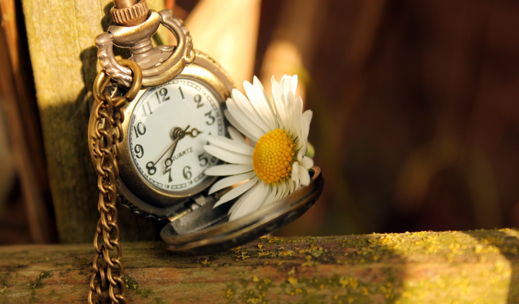 Часы и ромашка