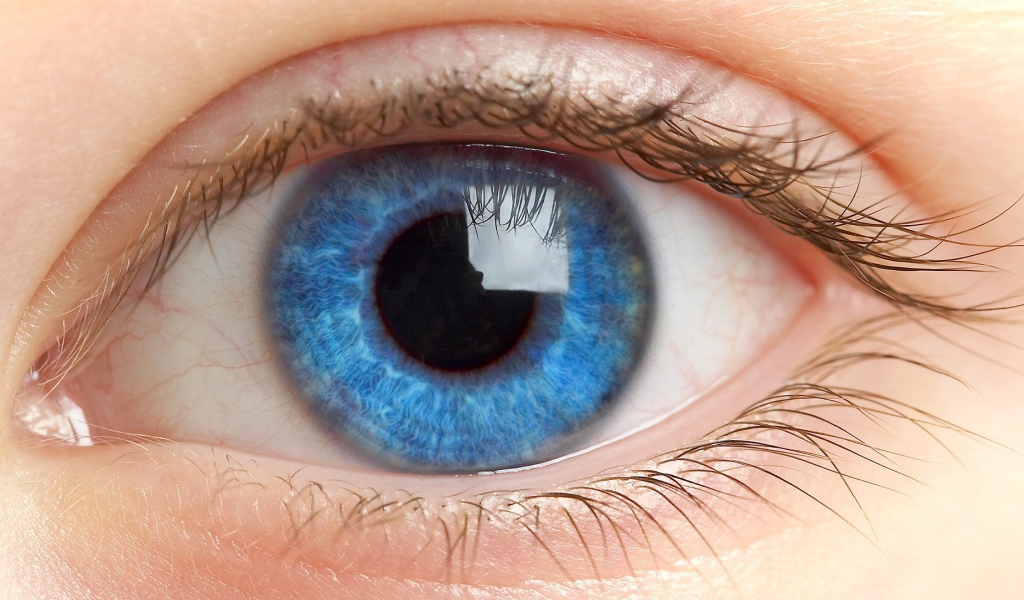 Синий открытый  глаз