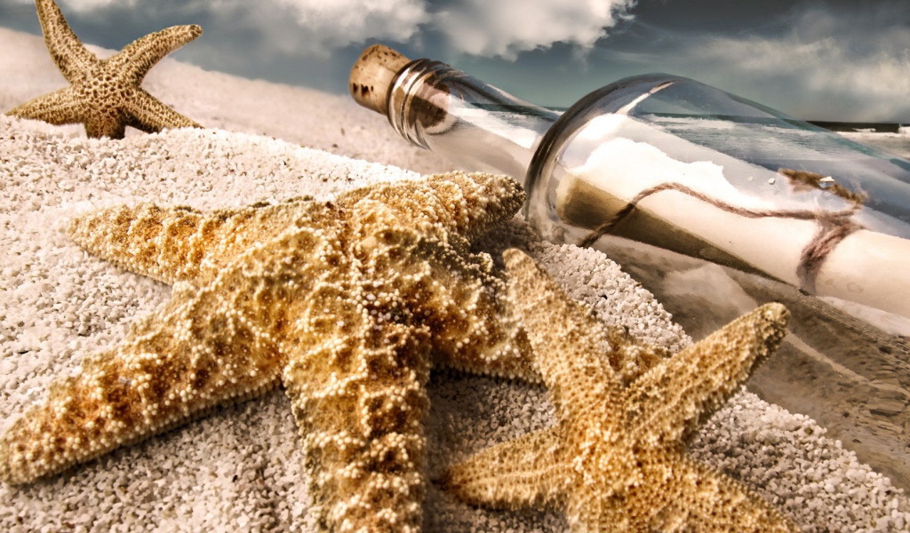 Морская звезда и бутылка с письмом