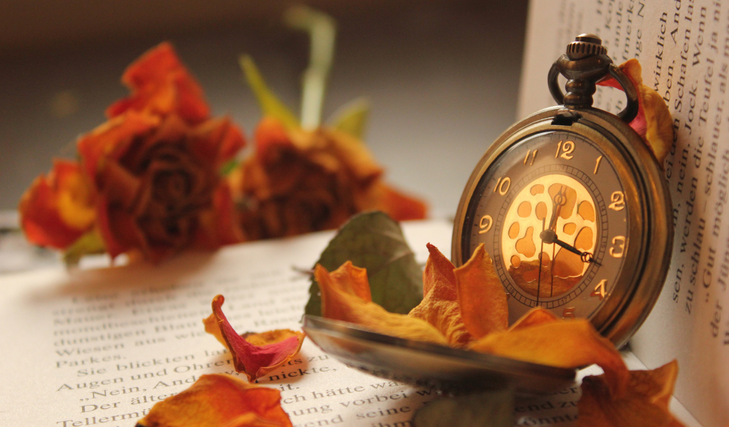 Карманные часы на книге