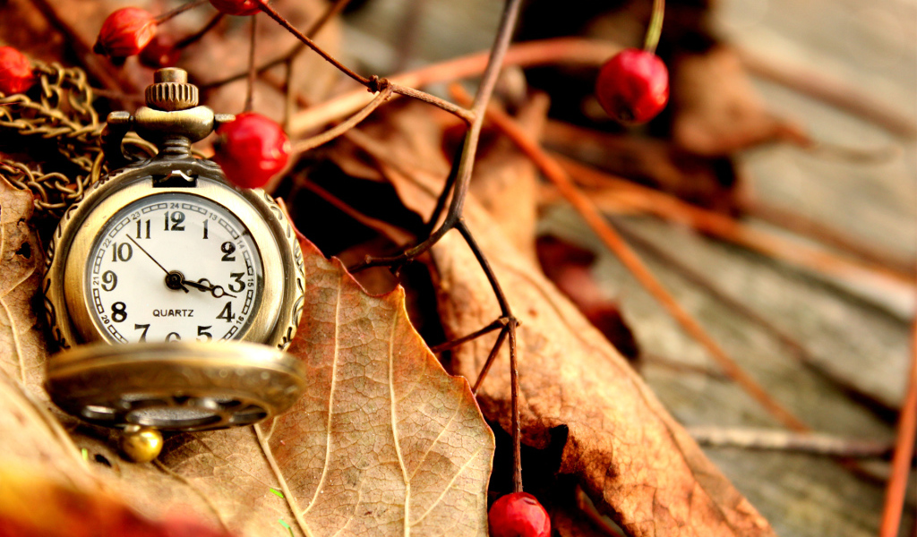 	   Pocket watch on dry leaves