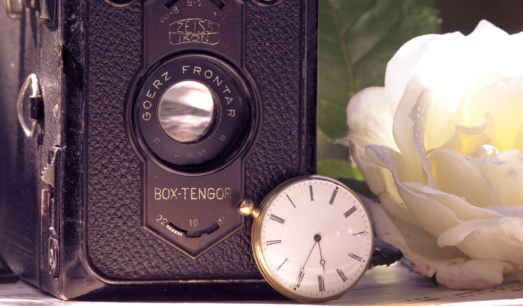 Ретро фотоаппарат и роза
