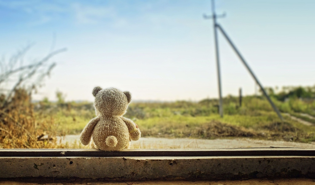 Мишка ждет свою хозяйку