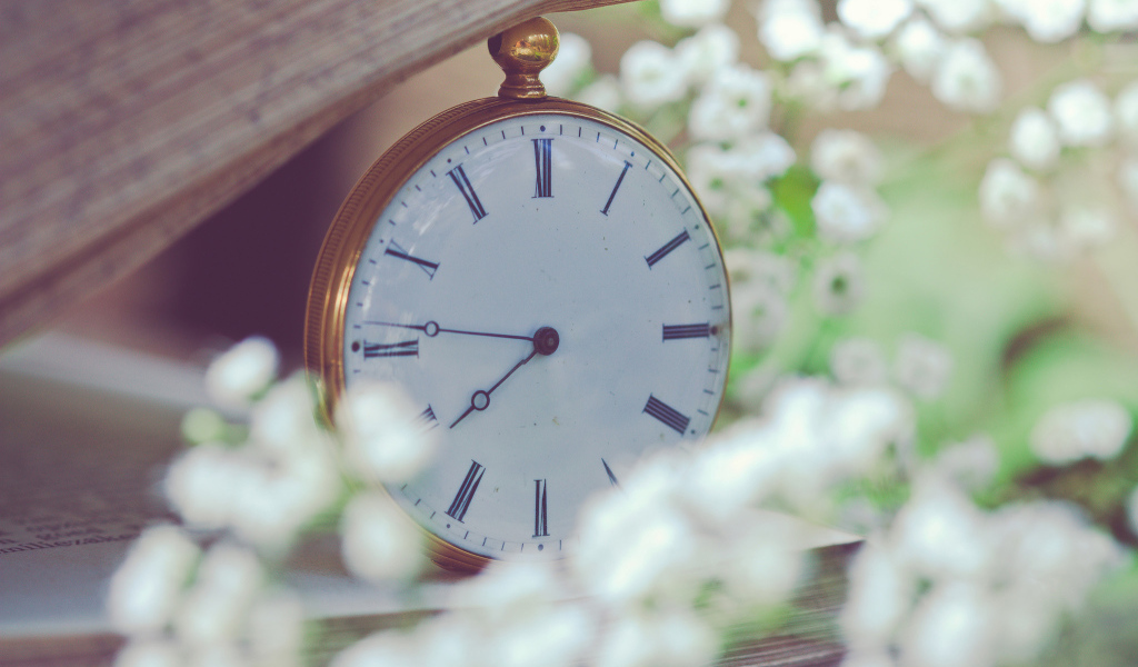 Белые карманные часы