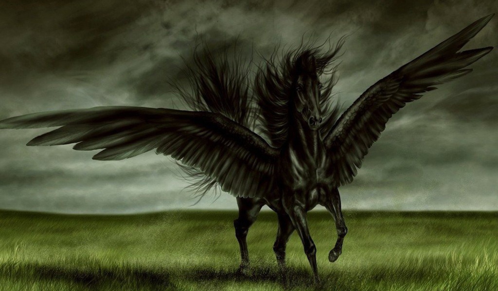 Черная лошадь с крыльями