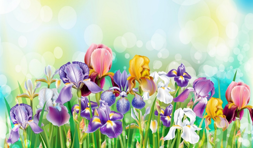 Букет полевых цветов