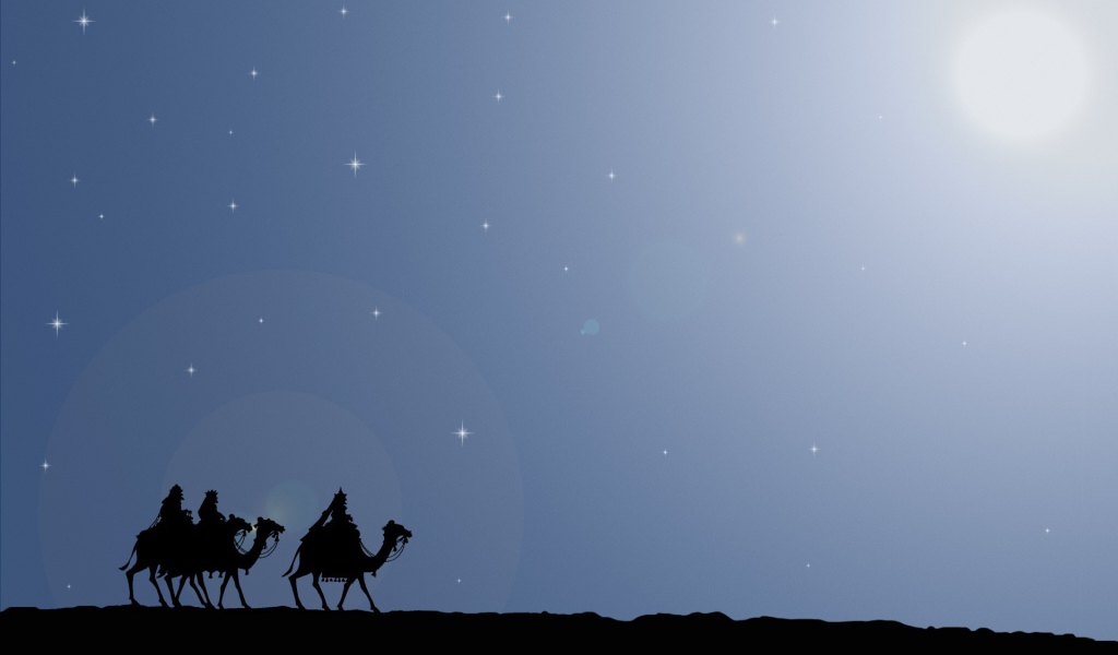 Верблюды в пустыне