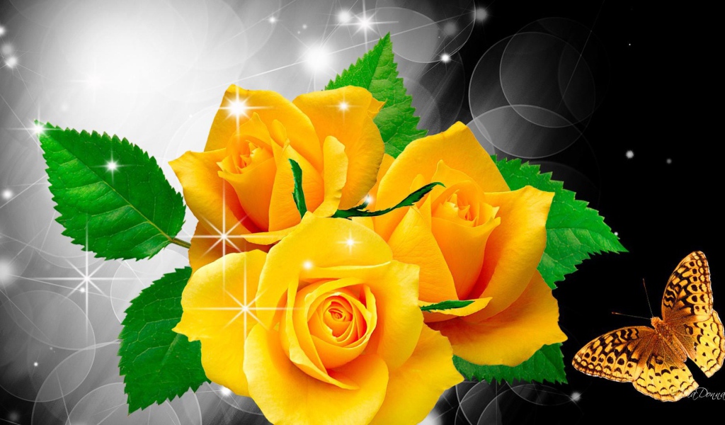 Жёлтые розы и бабочка