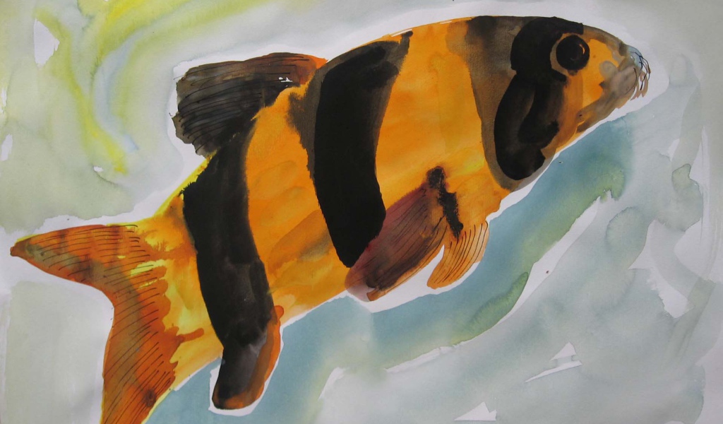 Картинка Марлен Дюма - Красочная рыба