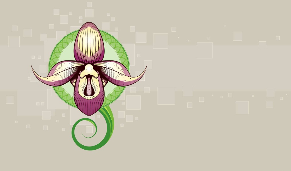 Рисунок орхидеи