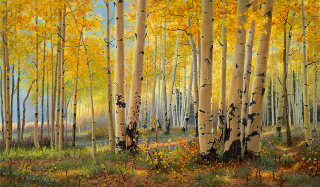 Березовая роща осенью