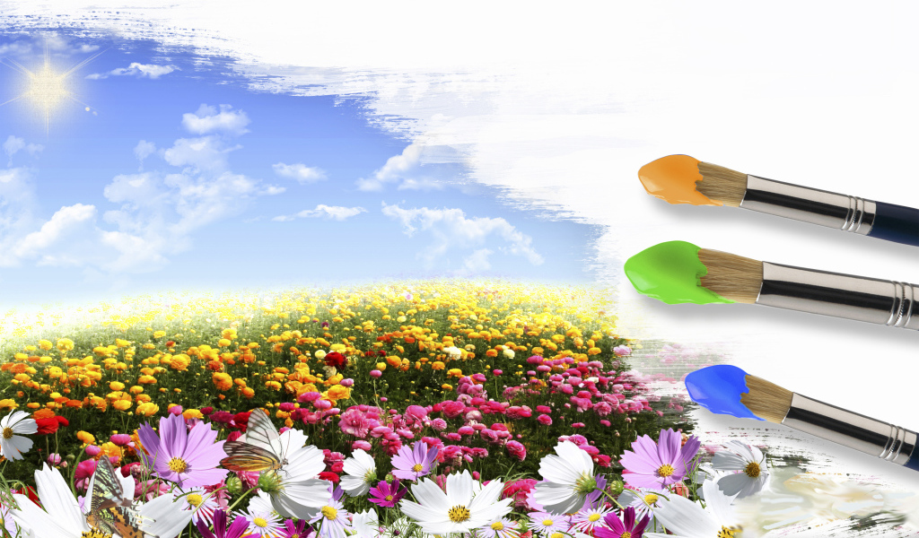 Поле цветов и кисти