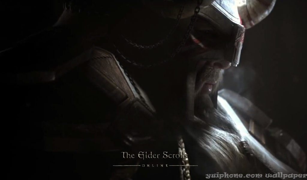 Закаленный в боях викинг