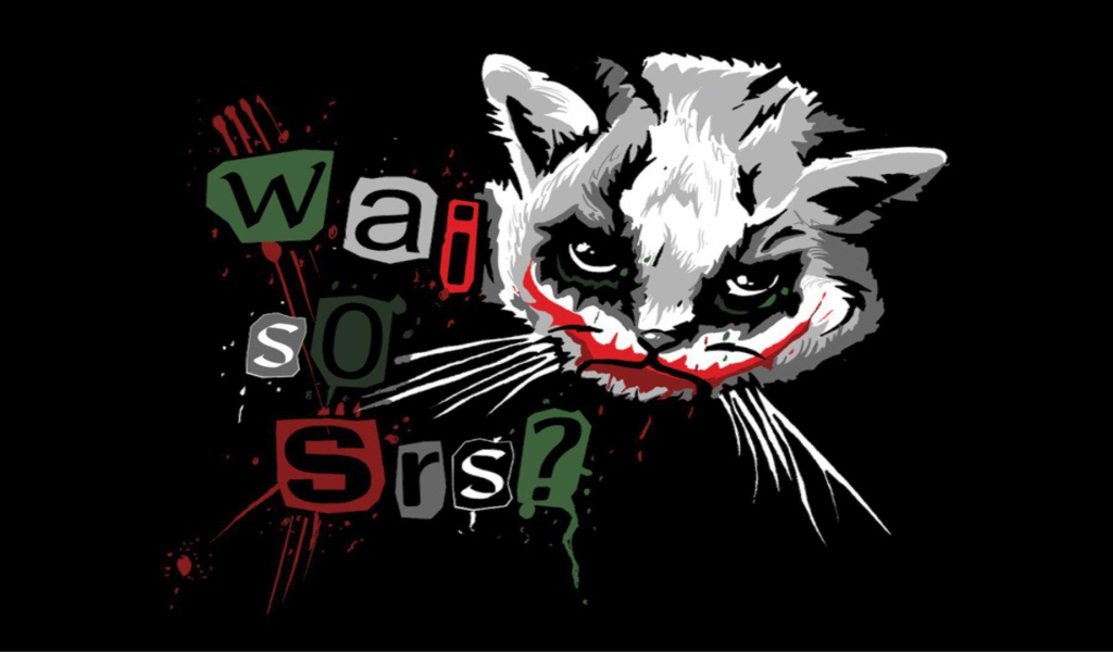 Забавный кот Джокер