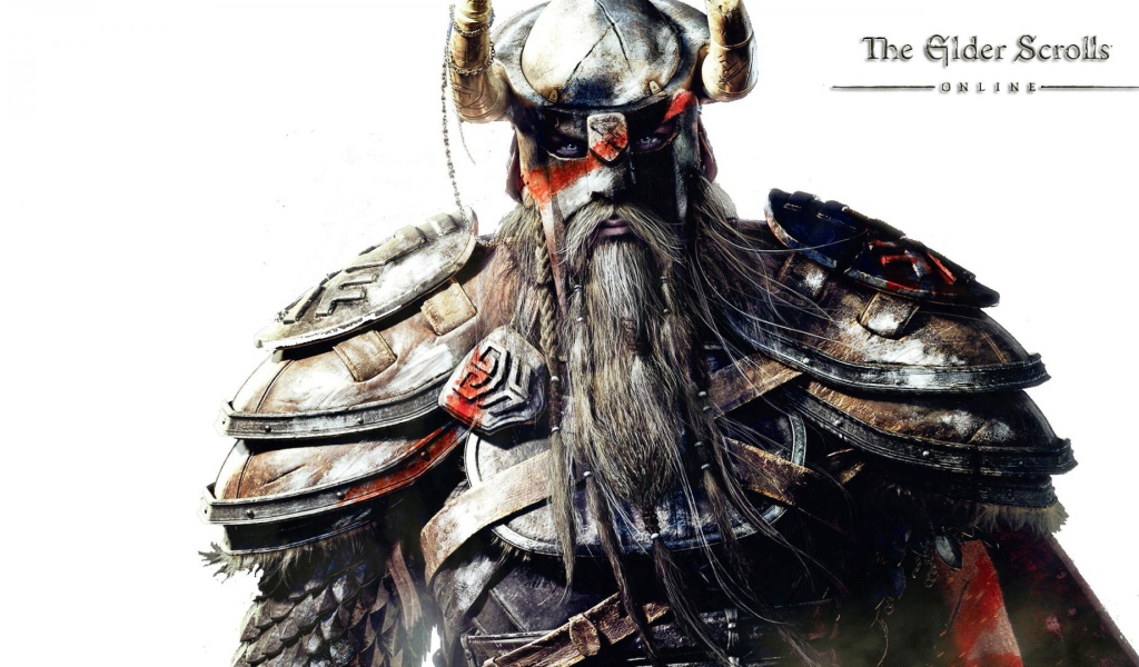 The person Viking