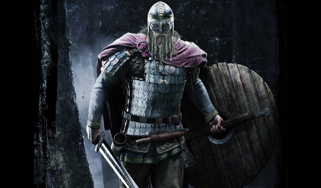 Viking goes to war