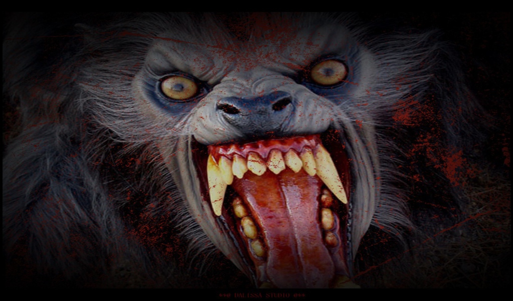 Очень страшная морда