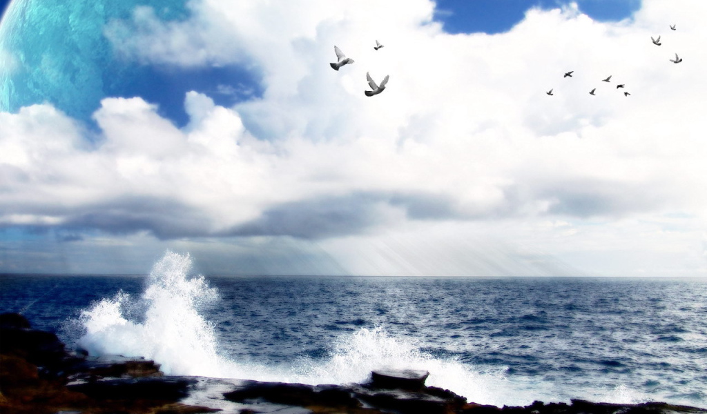 Море ,голуби и космос