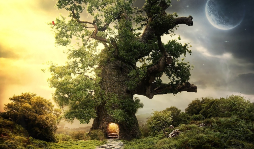 Дорога ведущая в дерево