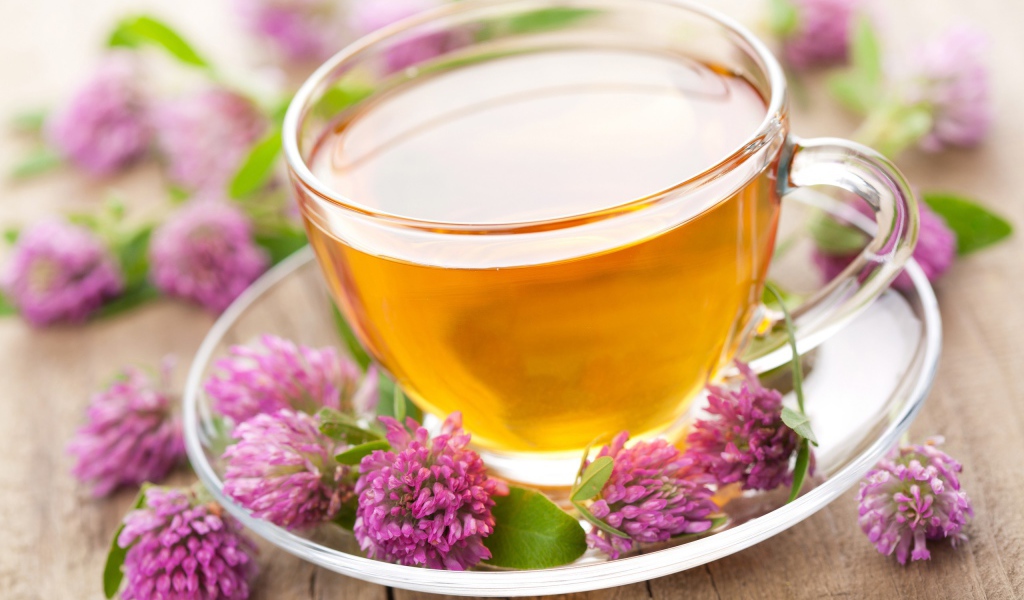 Напиток из клевера