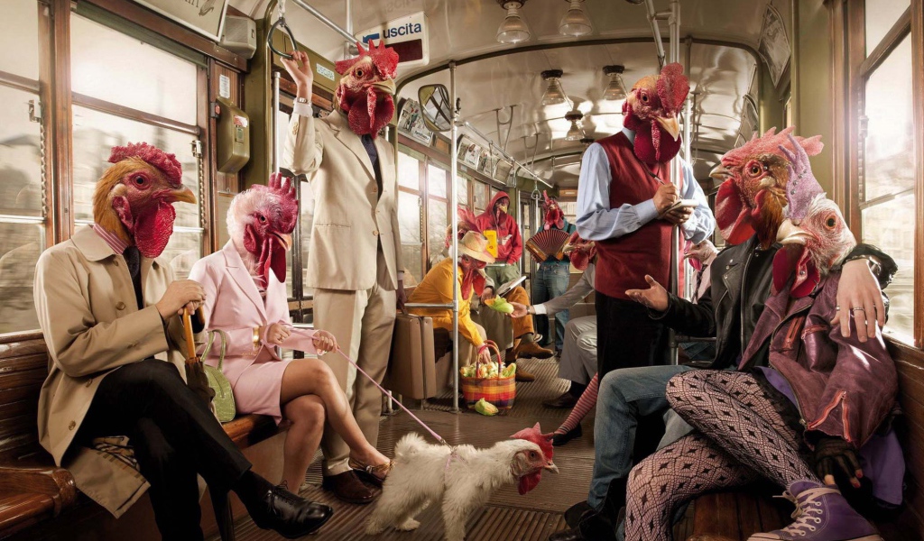 Поездка в курятнике