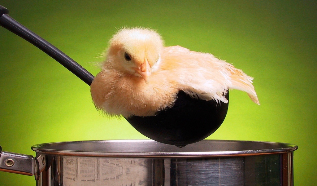 Цыпленок в поварешке