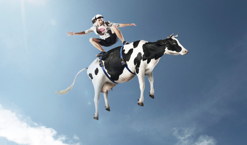 Фристайл на корове