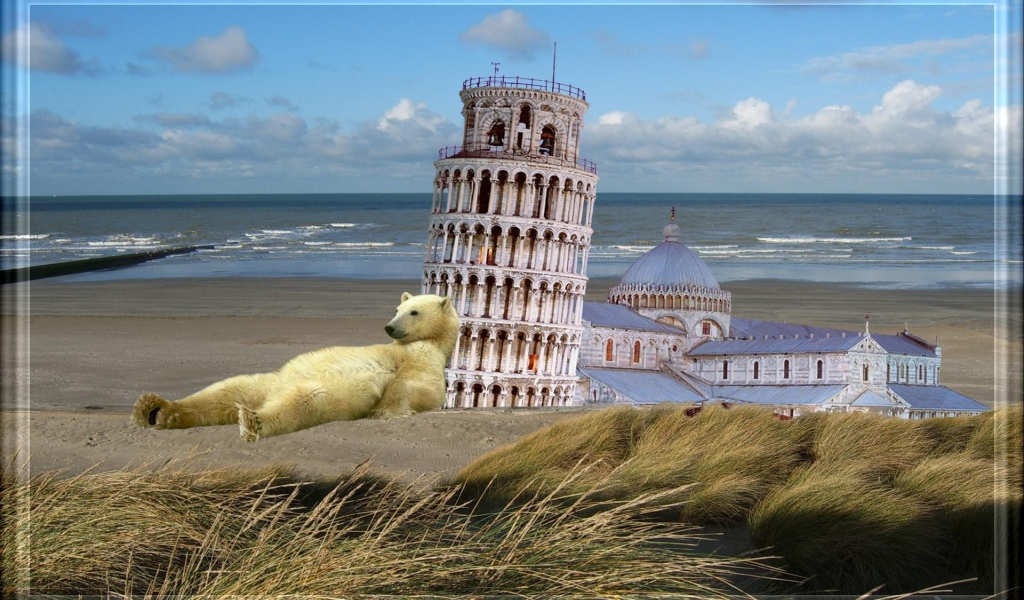 Белый медведь у Пизанской башни