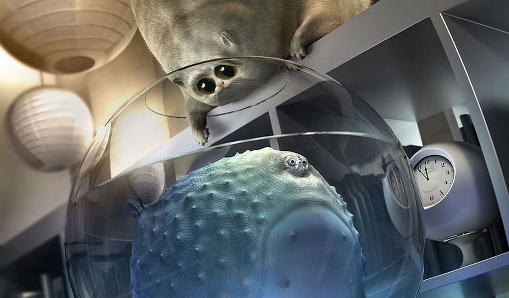 Толстый кот и толстая рыба