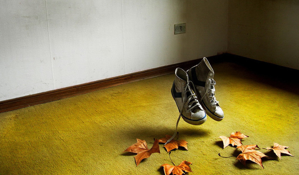 Летающие кеды