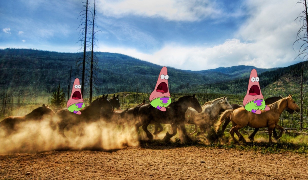 Патрик на лошадях