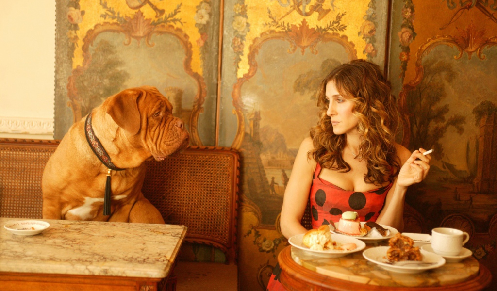 Собака просит еще еды