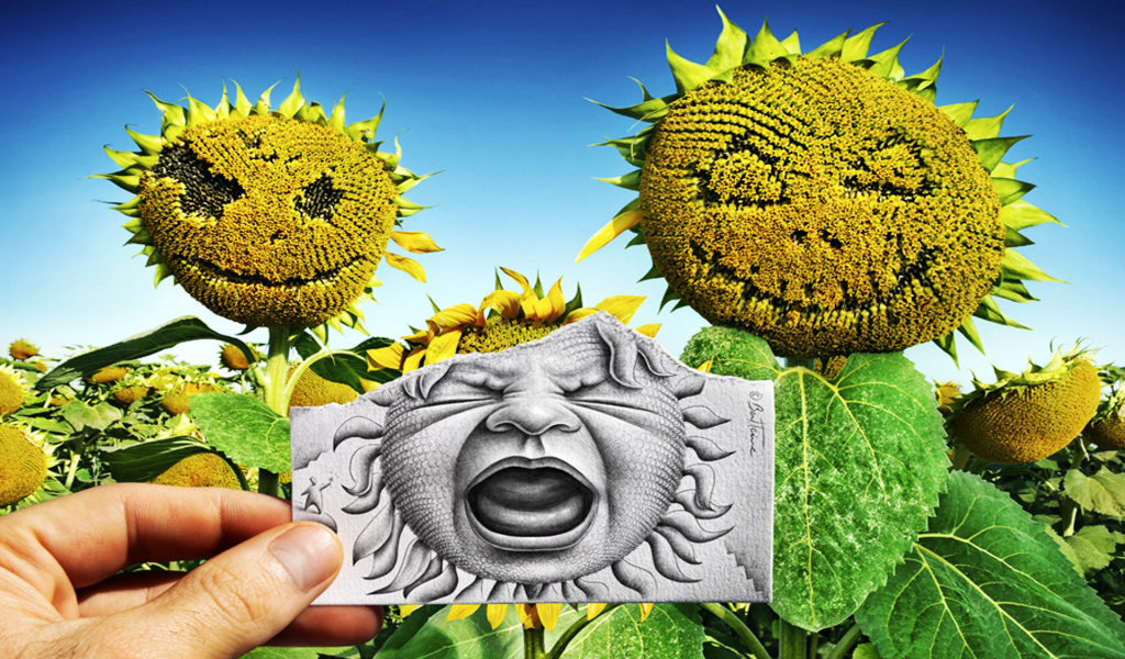 Лицо на подсолнухе