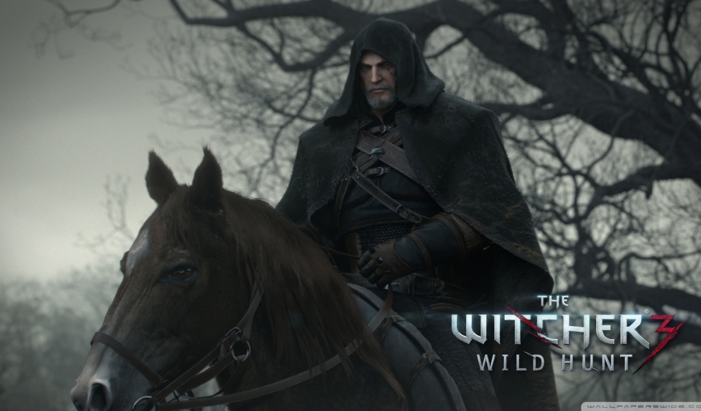 Всадник из игры Ведьмак