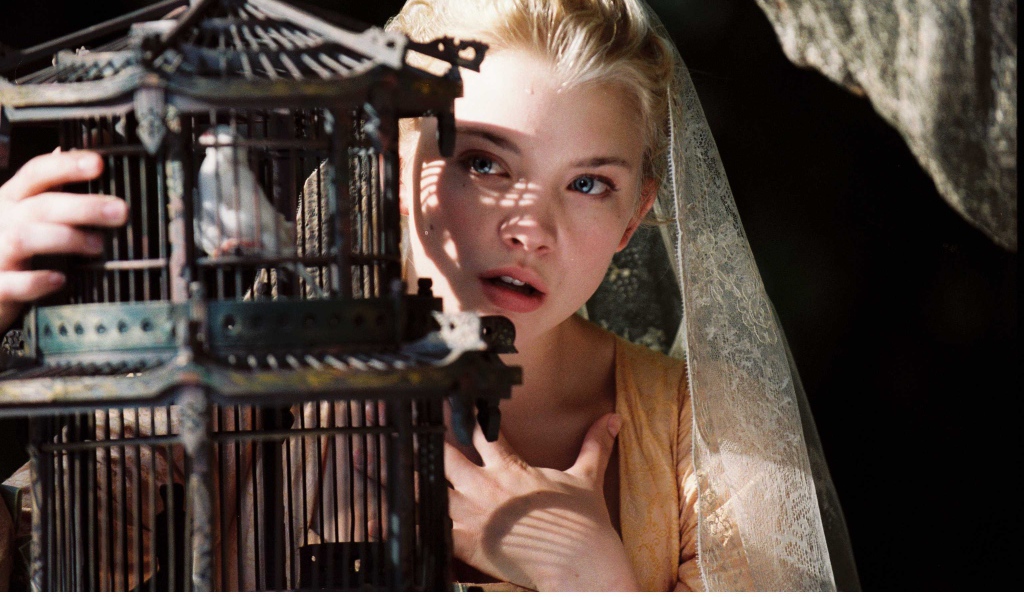 Популярная Натали Дормер