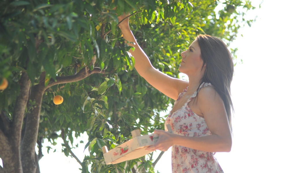 Девушка собирает фрукты