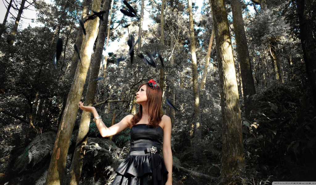 Девушка и черные перья