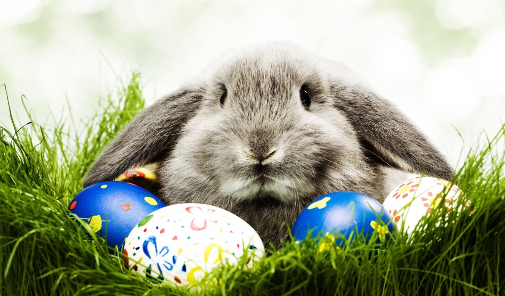 Кролик и пасхальные яйца