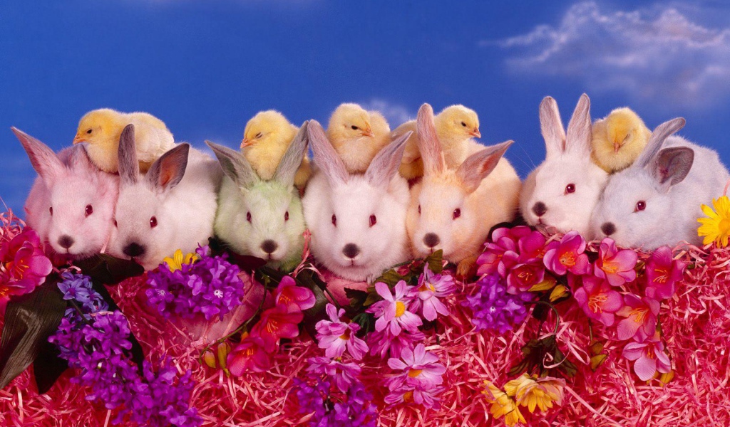 Цыплята и кролики на Пасху