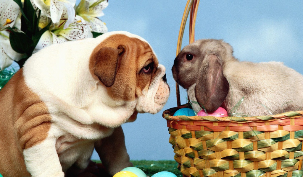 Собака и кролик на Пасху