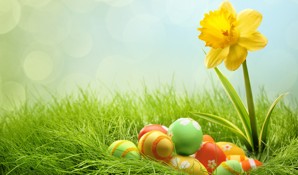 Яйца и желтый цветок на Пасху