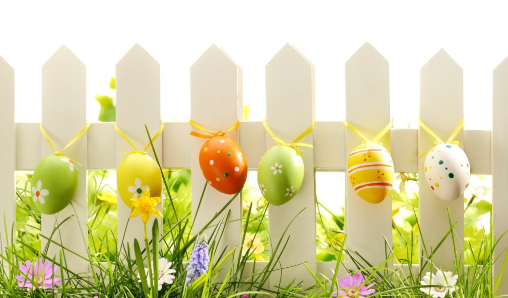 Яйца на заборе на Пасху