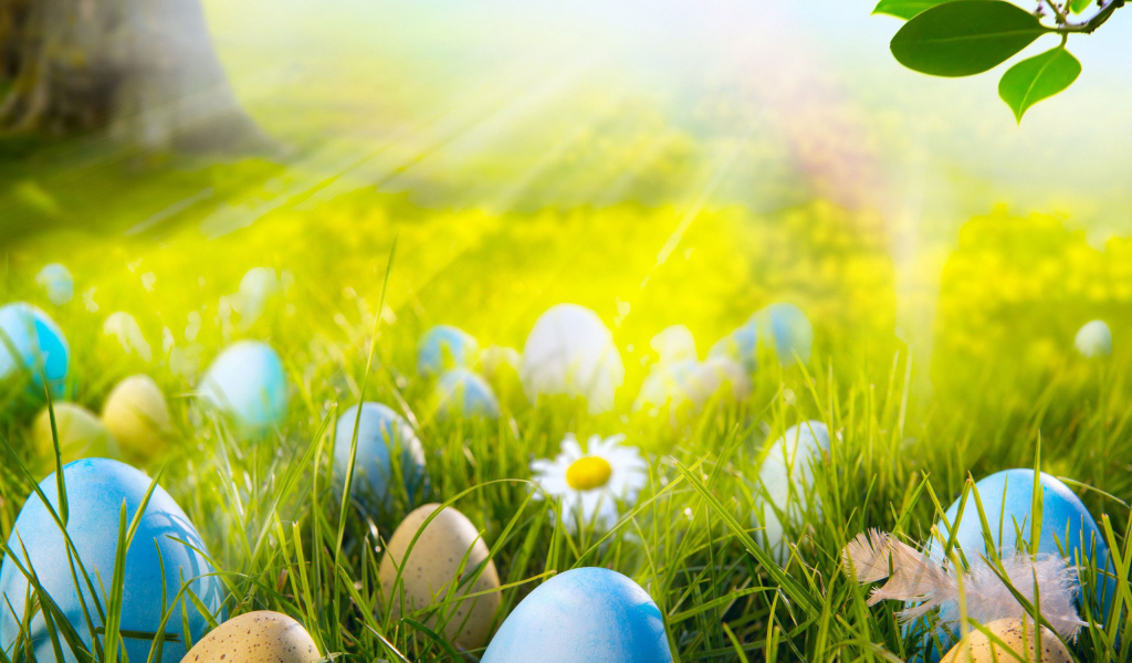 Яйца на лугу на Пасху