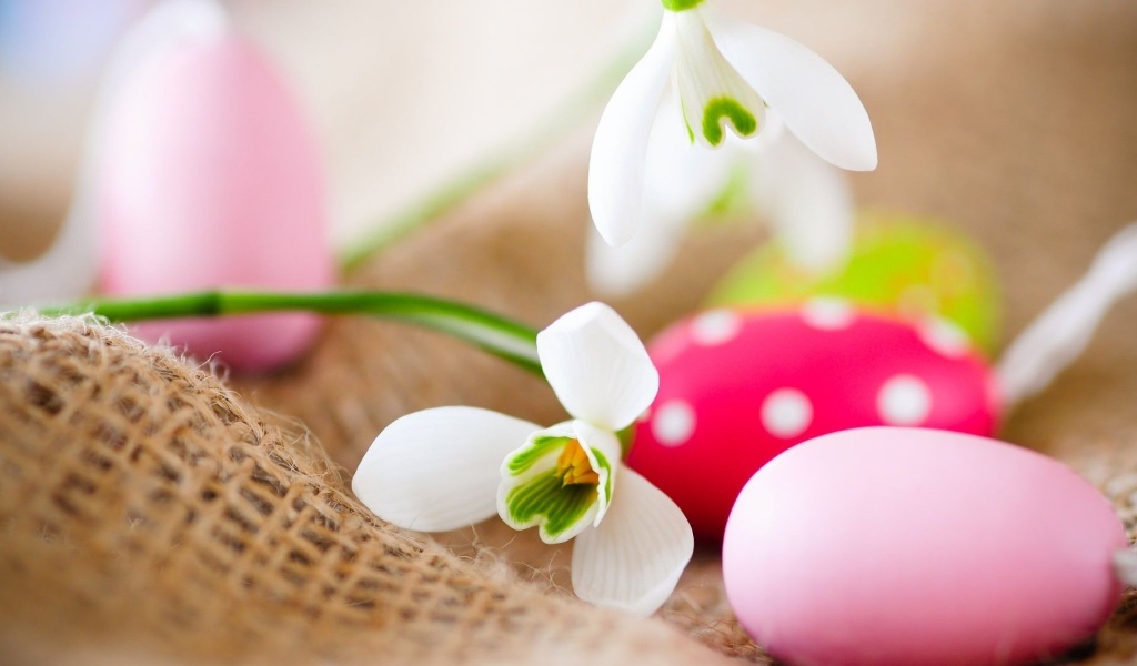 Белые цветы и яйца на Пасху