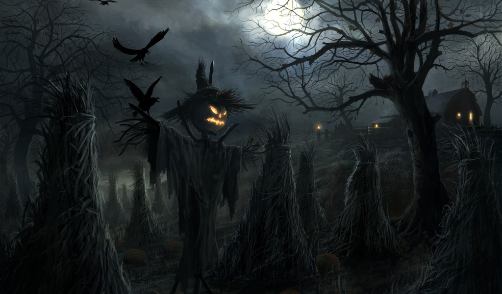 Лунная ночь на тыквенном поле